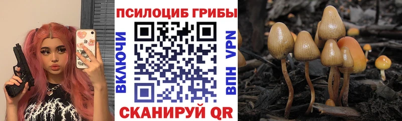 Галлюциногенные грибы Psilocybe ссылка на мегу онион Сухой Лог