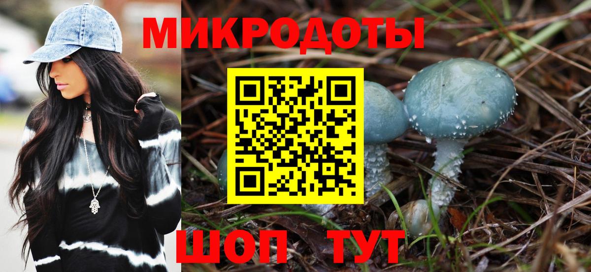 Сухой Лог  Галлюциногенные грибы GOLDEN TEACHER  Вход с VPN  где купить наркоту  Псилоцибиновые грибы Cubensis 