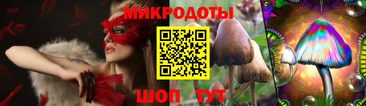 Галлюциногенные грибы Psilocybe Сухой Лог